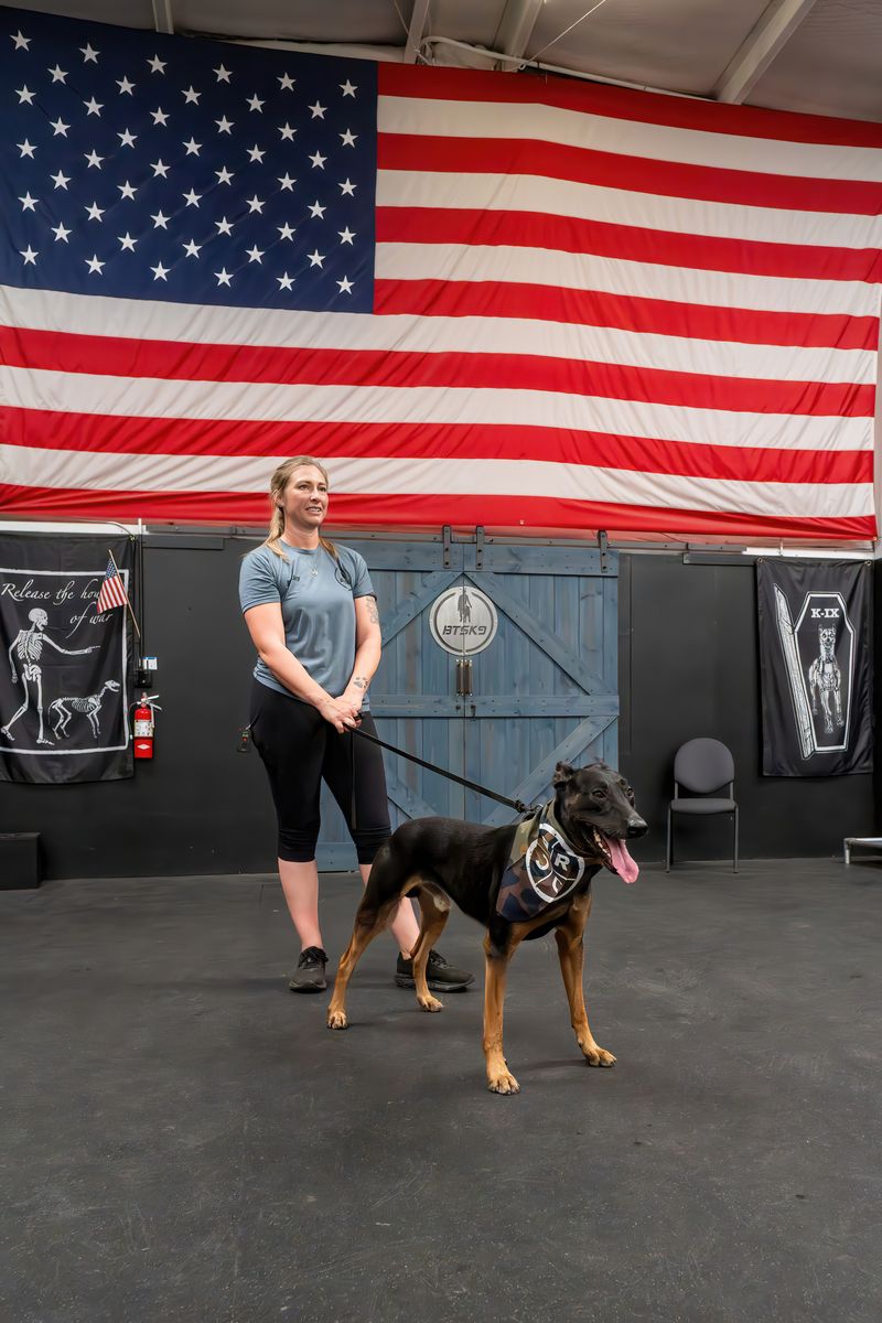 sport-dog-training-fort-walton-beach-fl-by-BTS-K9-0034